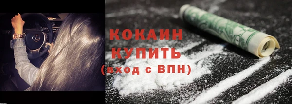 индика Белокуриха