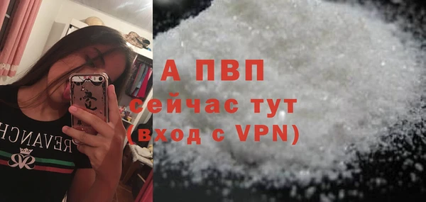 индика Белокуриха