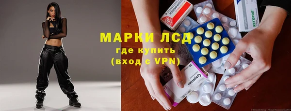индика Белокуриха