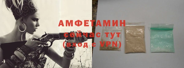 индика Белокуриха
