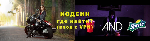 индика Белокуриха
