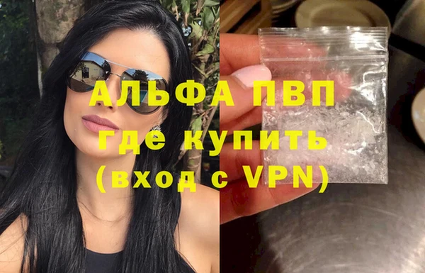 индика Белокуриха