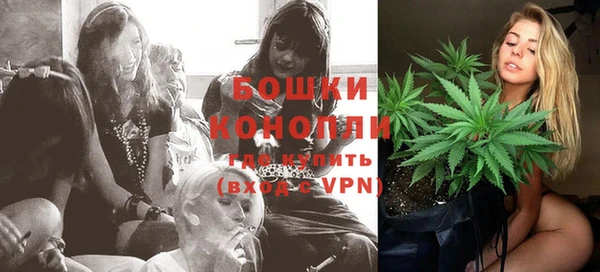 индика Белокуриха