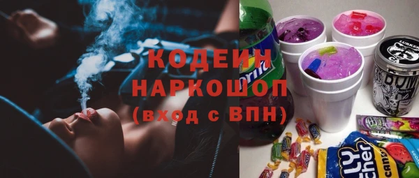индика Белокуриха