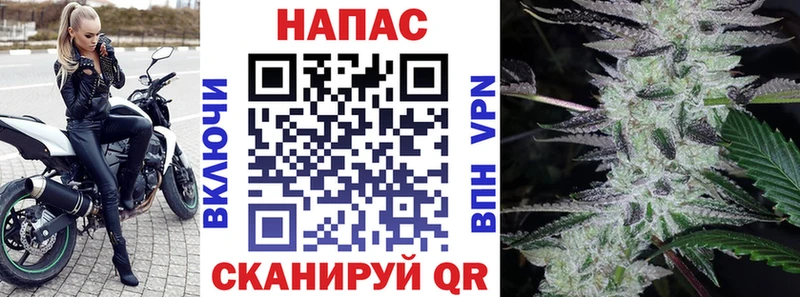 Каннабис план  цена наркотик  Верхний Тагил 
